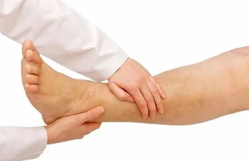 寧姐月嫂進社區，公益講座傳健康 唐山路社區經絡養生講座圓滿舉辦